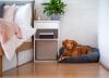 Kun je een hond in een flat houden