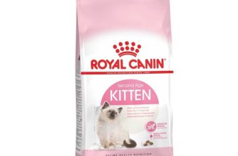 royal canin kitten