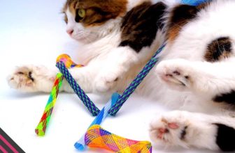 Make Me Purr Kitty Boinks Springveren