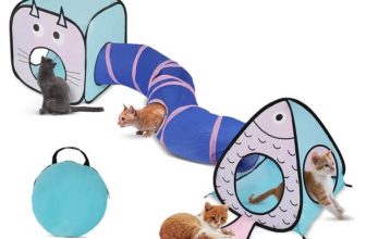 fuegobird kattentunnel