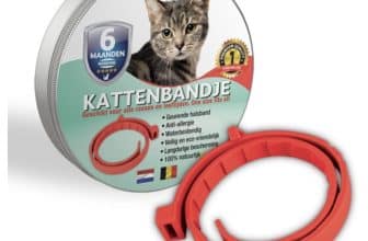 Biologische Vlooienband Kat - Rood - 100% natuurlijk