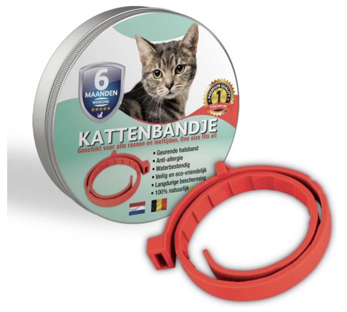 De beste vlooienbanden voor katten van 2024