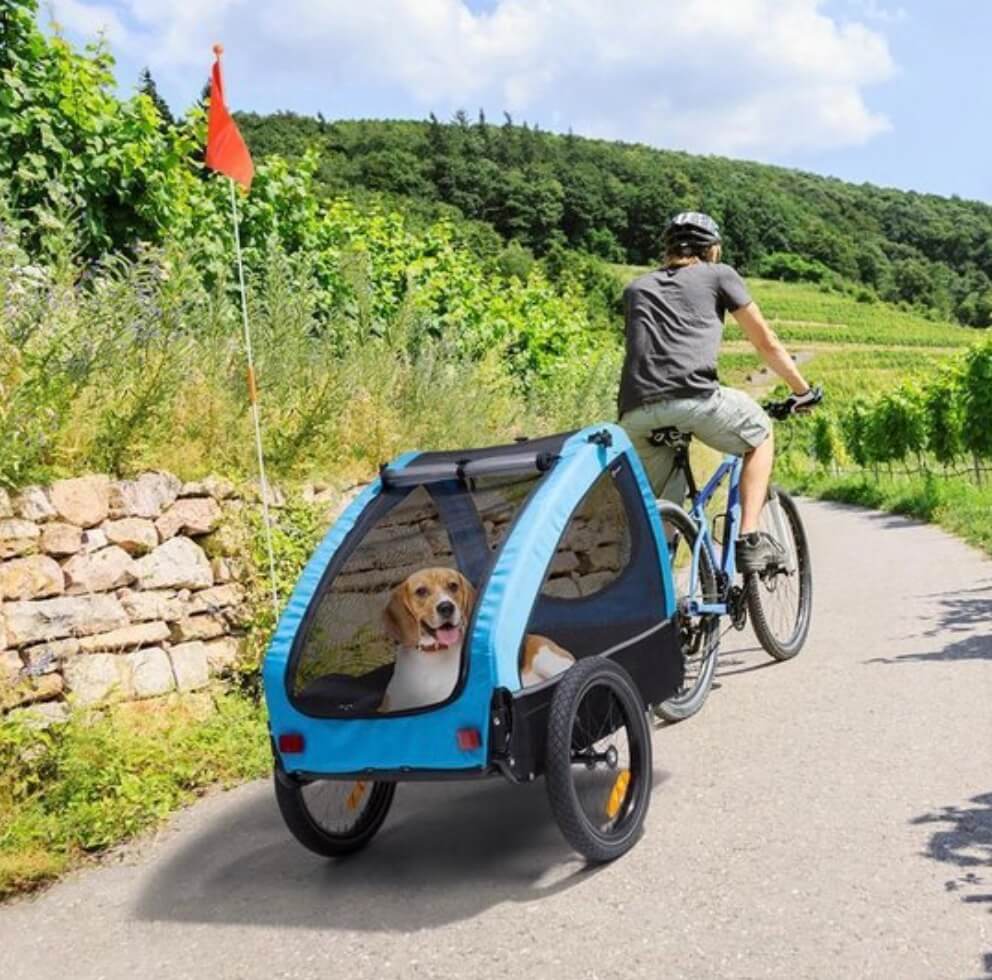 De mooiste hondenfietskarren van 2024