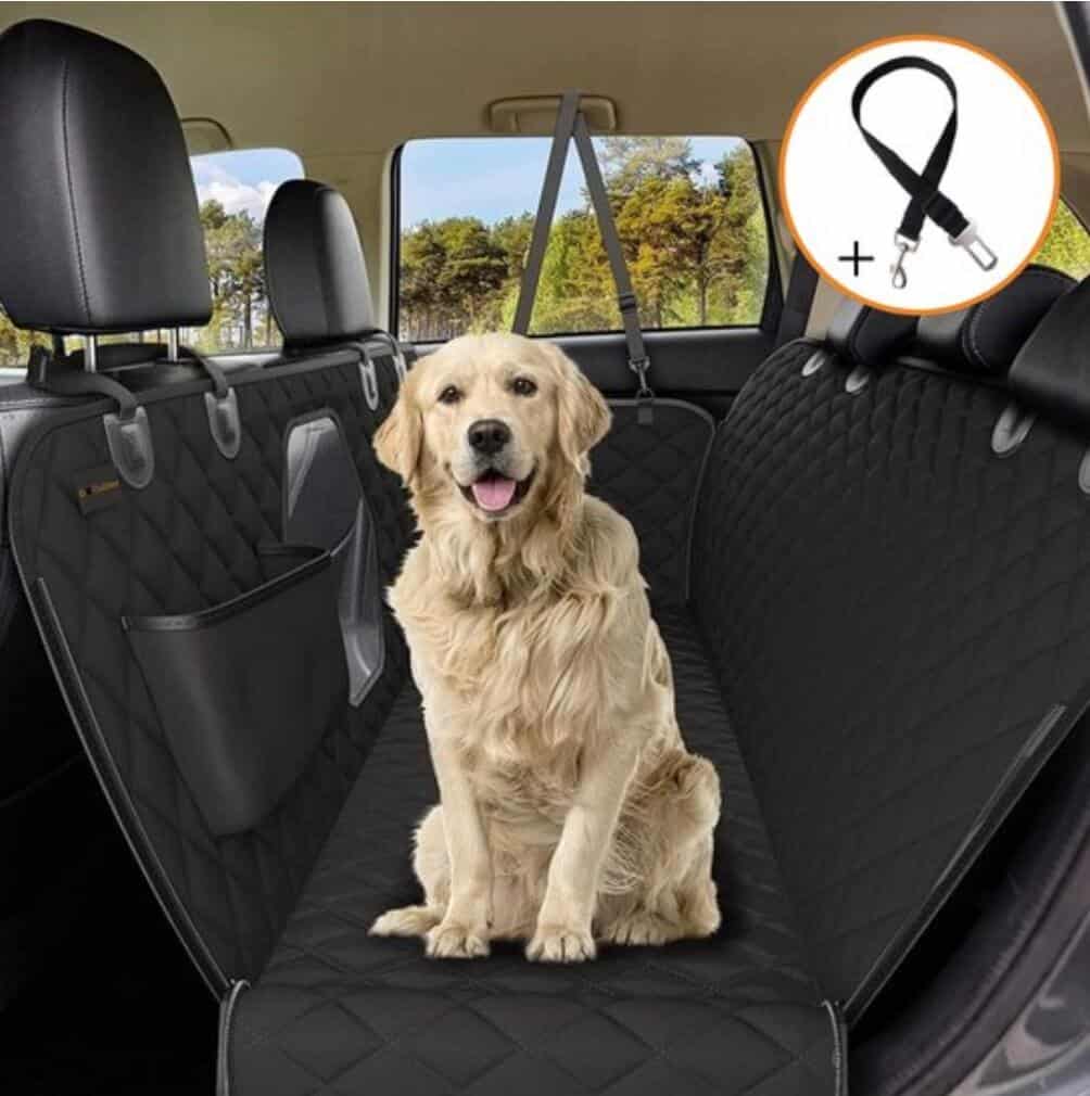 Beste hondenkleden voor in de auto