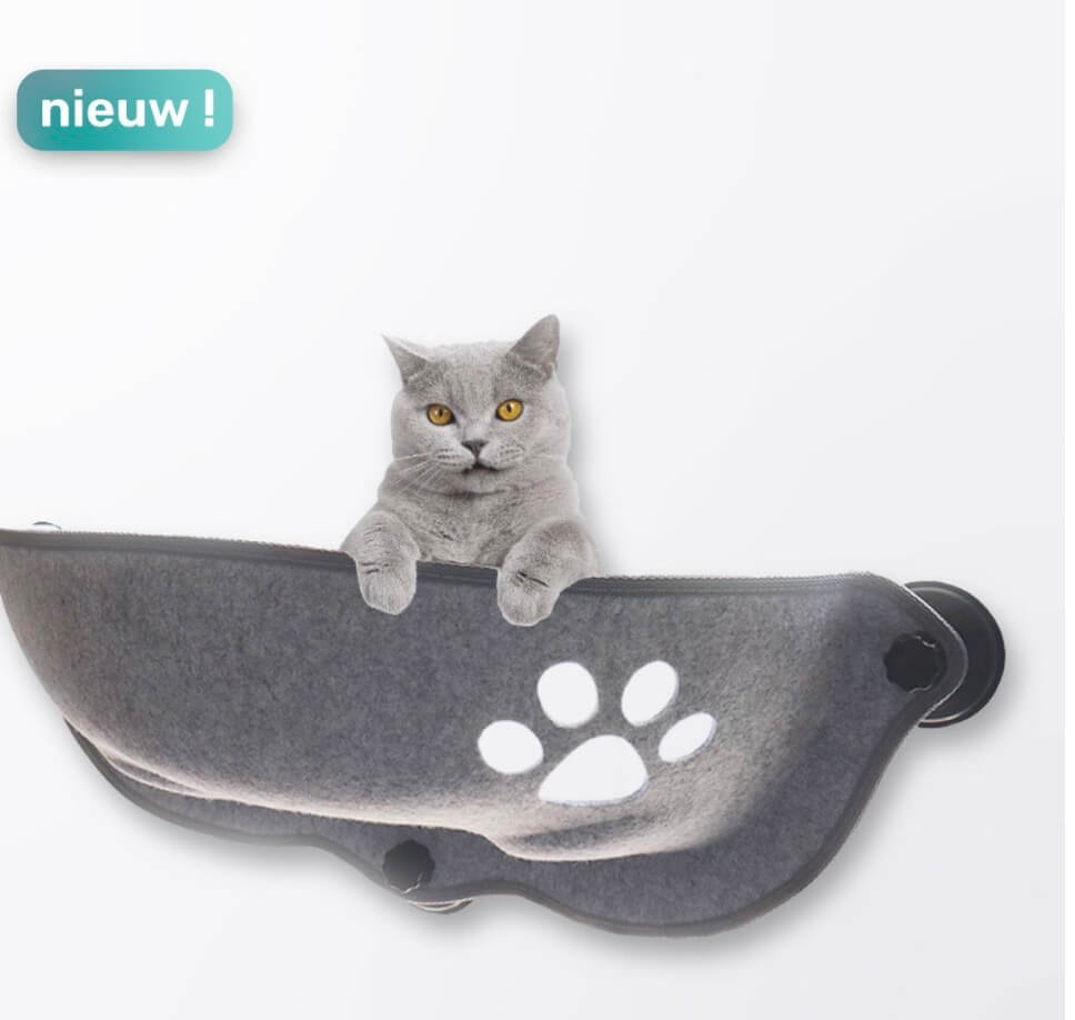 De 9 mooiste kattenmanden van het jaar!