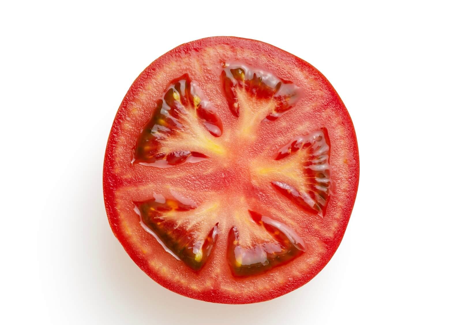 tomaat hond