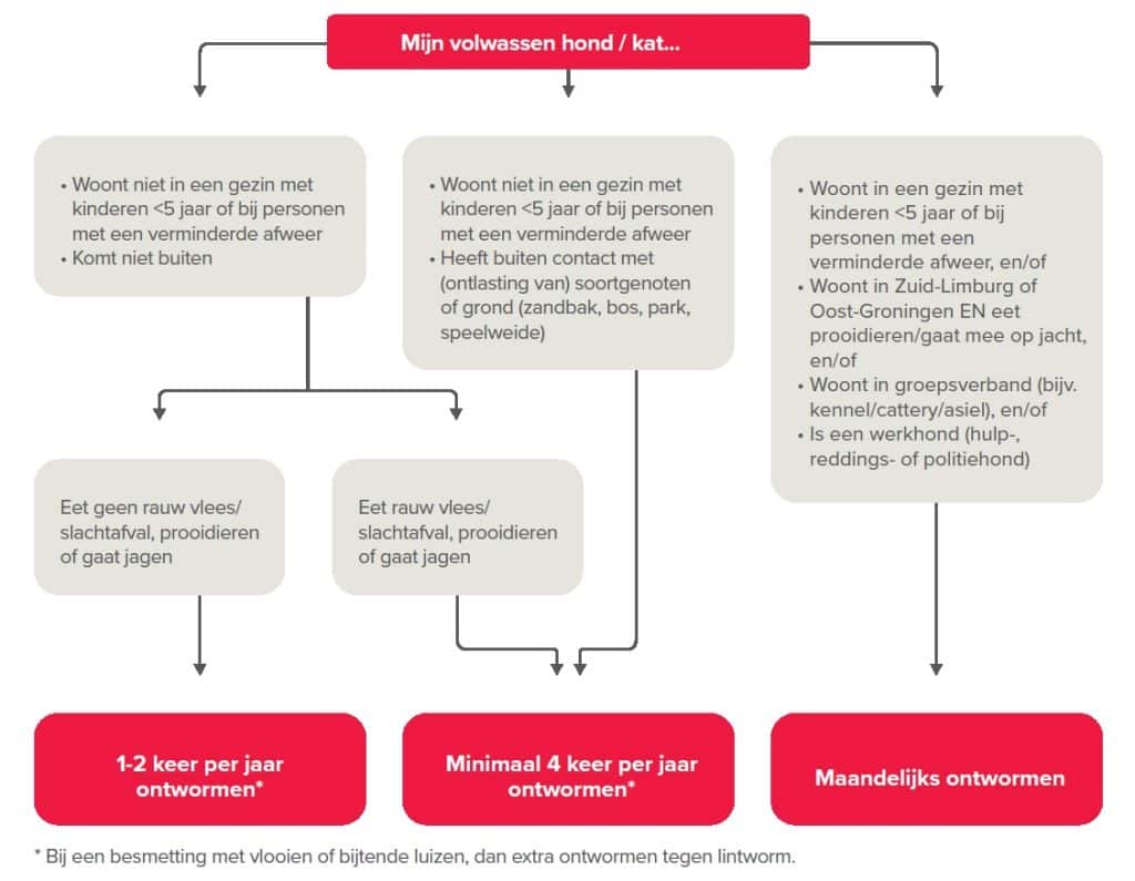 schema ontwormen