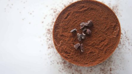 Waarom chocolade niet voor honden is